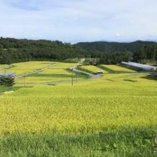 棚田の減農薬など推進に向けた実証実験　新潟県佐渡市で開始　NTTドコモ