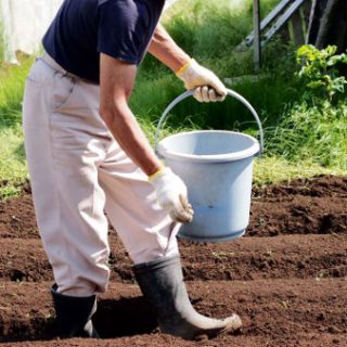 肥料高騰で農家支援へ　上昇分の半額を助成　福岡県が22億円を予算化