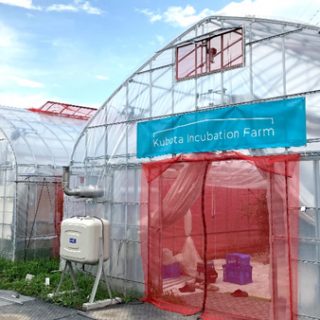AI潅水施肥システム「ゼロアグリ」クボタの実証農場でトマト養液栽培スマート実証に参画