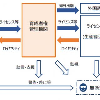 品種の海外流出防止へ　来年度から農研機構の品種など海外登録へ　2,3年後の法人化目指す