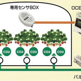 農業分野への炭酸ガス事業拡大へ　オムニア・コンチェルトに出資　岩谷産業