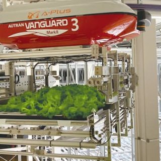 次世代モデルの人工光型植物工場　福井・美浜町に建設　椿本チエイン