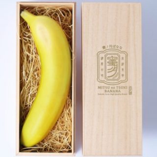 和歌山県産高級バナナ「密の月」使用　クラフトビール開発に成功