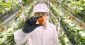 「ニューヨークのイチゴはまずい」植物工場で作った日本品質のイチゴを世界に届けるOishii Farmが総額55億円を調達