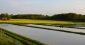 北海道滝川市と化粧品メーカーがラベンダー栽培を共同研究　雇用創出と産業育成を目指し生産者と連携、土地を提供