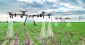 アリババの「未来農場」プロジェクトがスタート〜先端種子やドローンも