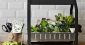 IKEAの都市型農業PJ。家庭内の植物工場キットや建物全体のグリーン化へ