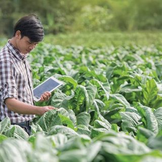 【農業 × テクノロジー】食の未来を変革する最新アグリテックサービスまとめ5選