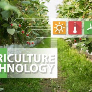 アグリテック（農業テック）スタートアップ8社を紹介、スマート農業の先進企業たち