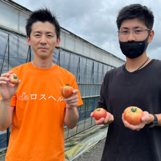 猛暑で廃棄トマトが急増　規格外野菜定期配送で福井・鯖江のトマト農家を応援　ロスヘル