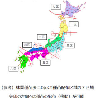 秋田県でエリートツリー苗生産に向けた「特定増殖事業者」の認定を取得　閉鎖型採種園を開設予定　日本製紙
