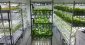 “テック×農業”で都市化に対応。世界注目の未来型植物工場が持つ「農民2500万人消失」の危機感